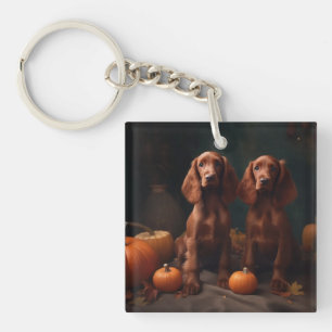 Irlandais Red Setter Chiot Automne Citrouille de p