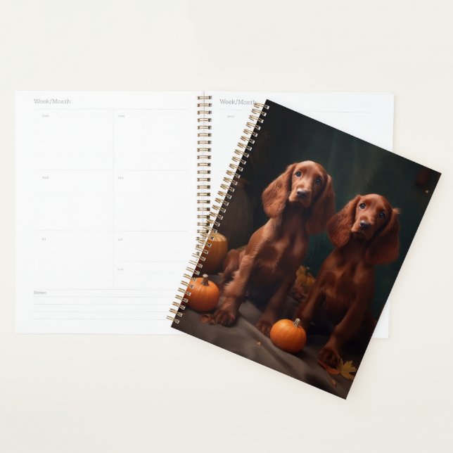 Irlandais Red Setter Chiot Automne Citrouille de p (Devant avec enveloppe)