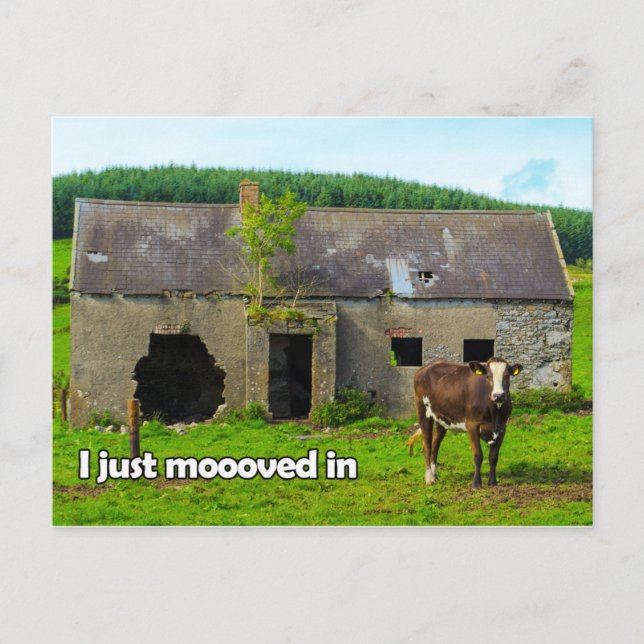 Irlande celtique Je viens de bouger dans la carte  (Devant)