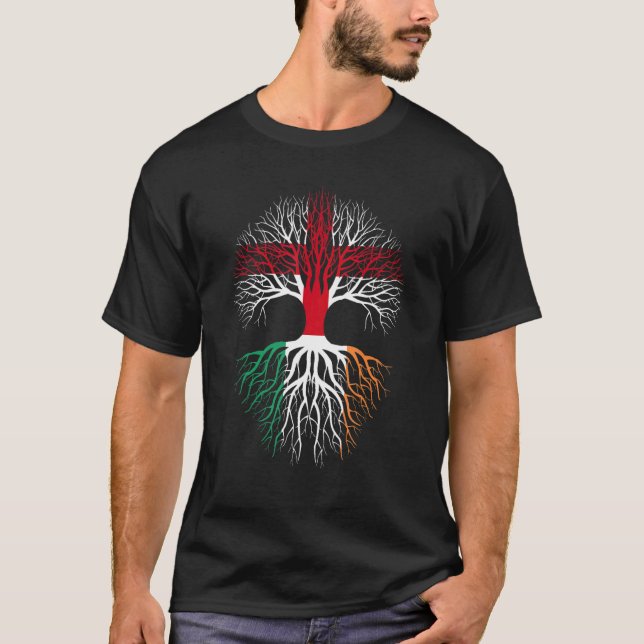 irlande Grown English Roots   irlande Flag England T-Shirt (Front)