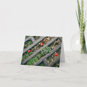 Iron Grate & Berries - Notecard