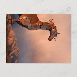 "Iron Horse" Postcard