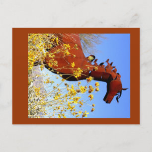 "Iron Horse" Postcard