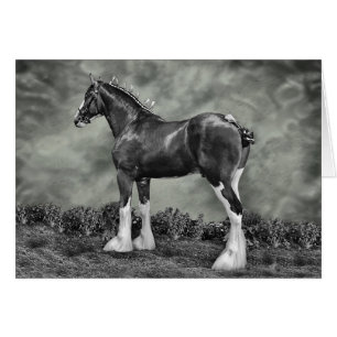 Iron Horse Steele