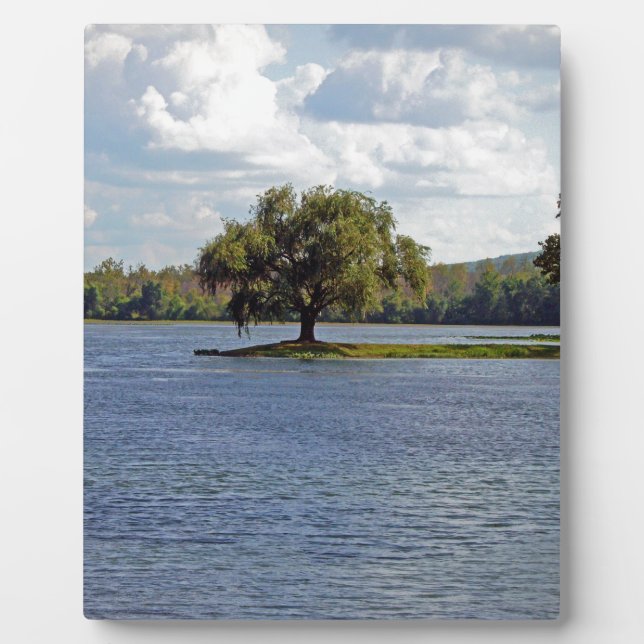 Iron Mountain Lake Plaque (Front)