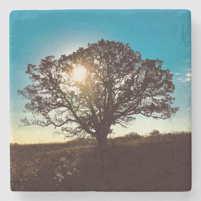 Iron Oak Tree at Sunrise Coaster (Front)