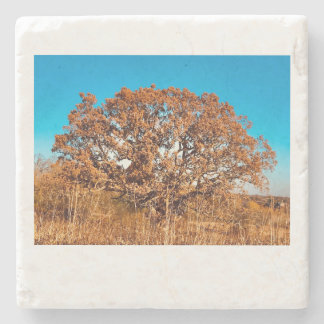 Iron Oak with Fall Sunrise Glow Stone Coaster