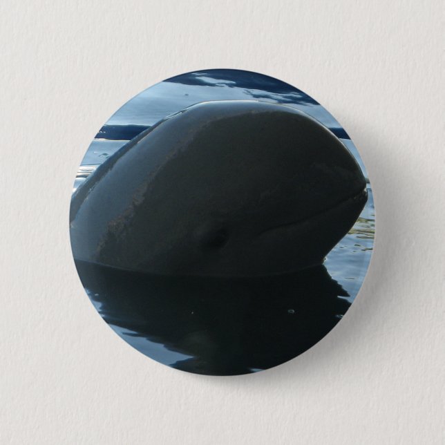 Irrawaddy Dolphin Peek-A-Boo 2 Inch Round Button (Front)