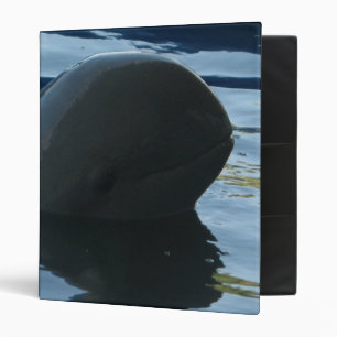 Irrawaddy Dolphin Peek-A-Boo Binder