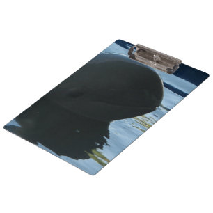 Irrawaddy Dolphin Peek-A-Boo Clipboard