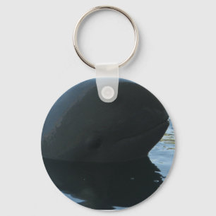 Irrawaddy Dolphin Peek-A-Boo Keychain
