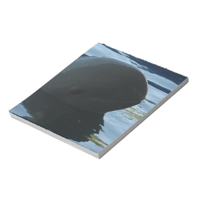 Irrawaddy Dolphin Peek-A-Boo Notepad (Rotated)