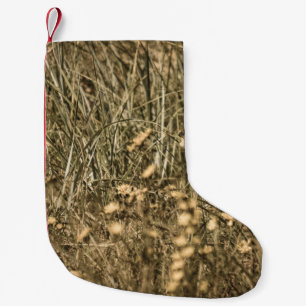 irregular dry plants on rock covered beach on the small christmas stocking