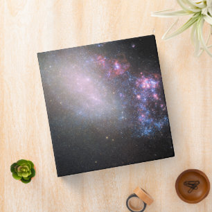 Irregular Galaxy Ngc 4485 Binder