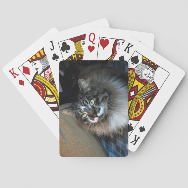 Irresistible Cat Bicycle Playing Cards (Back)