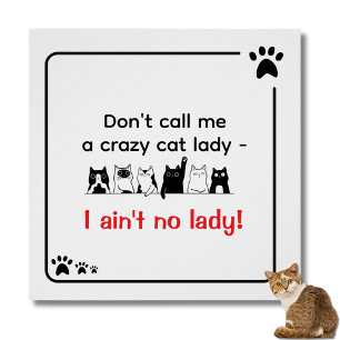 Irreverent Humour Crazy Cat Lady Poster