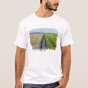 irrigation channel in between rice fields T-Shirt