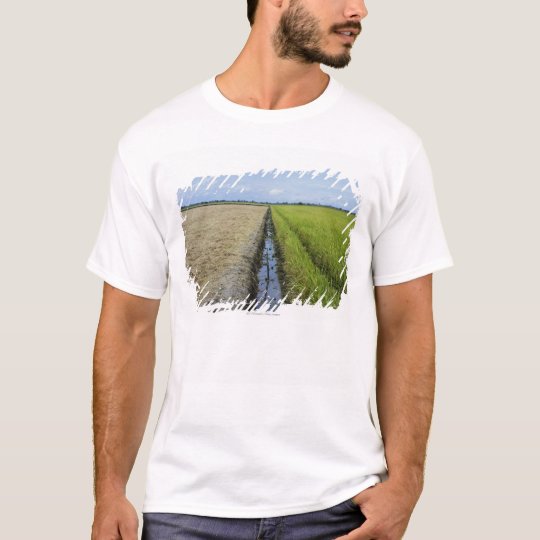 irrigation channel in between rice fields T-Shirt