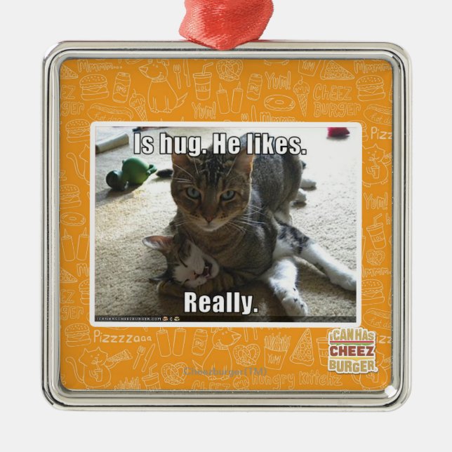 Is hug. He likes. Metal Ornament (Front)