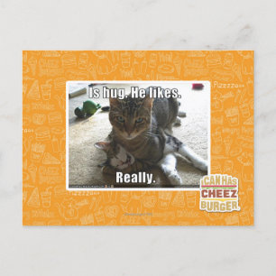 Is hug. He likes. Postcard