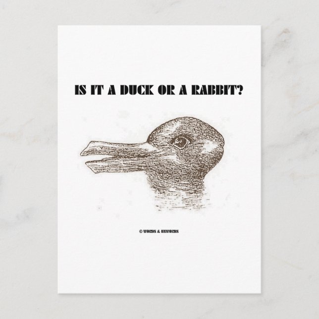 Is It A Duck Or A Rabbit? (Optical Illusion) Postcard (Front)