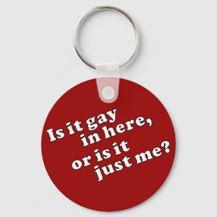 Is it gay in here, or is it just me? keychain