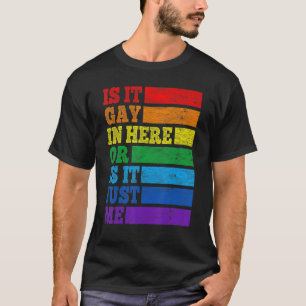 Is It Gay In Here Or Is It Just Me Rainbow Flag LG T-Shirt