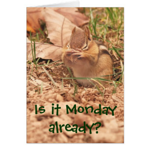 Is it Monday already? Chipmunk Card
