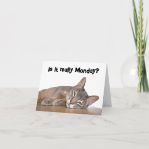 Is It Really Monday? Funny Abyssinian Cat Meme Card