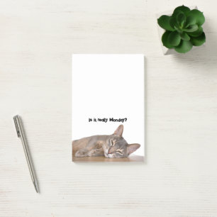 Is It Really Monday? Funny Abyssinian Cat Meme Post-it Notes