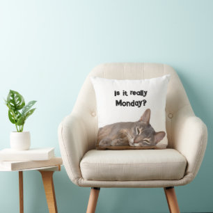Is It Really Monday? Funny Abyssinian Cat Meme Throw Pillow