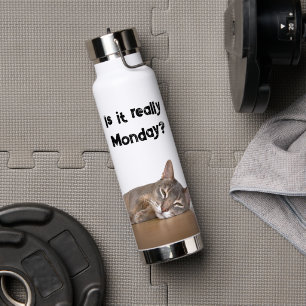 Is It Really Monday? Funny Abyssinian Cat Meme Water Bottle