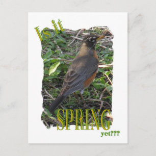 Is It Spring Yet??? Postcard