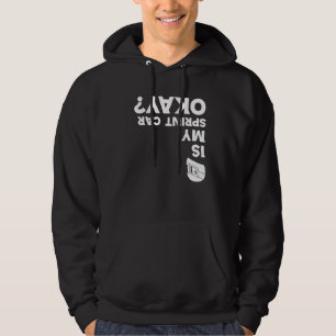 Is My Sprint Car Ok Funny Speed Automobile Racing Hoodie