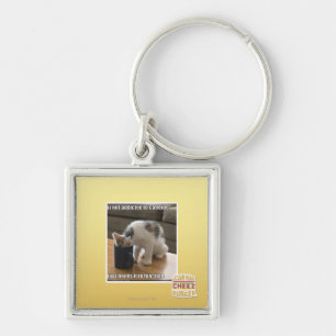 Is not addicted to caffeine keychain