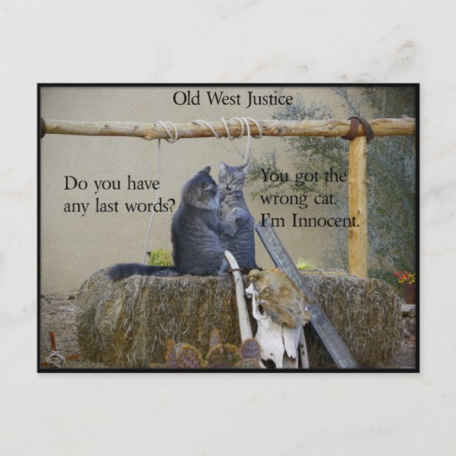 Is One Of The Earp Boys About To Be Hung? Postcard (Front)