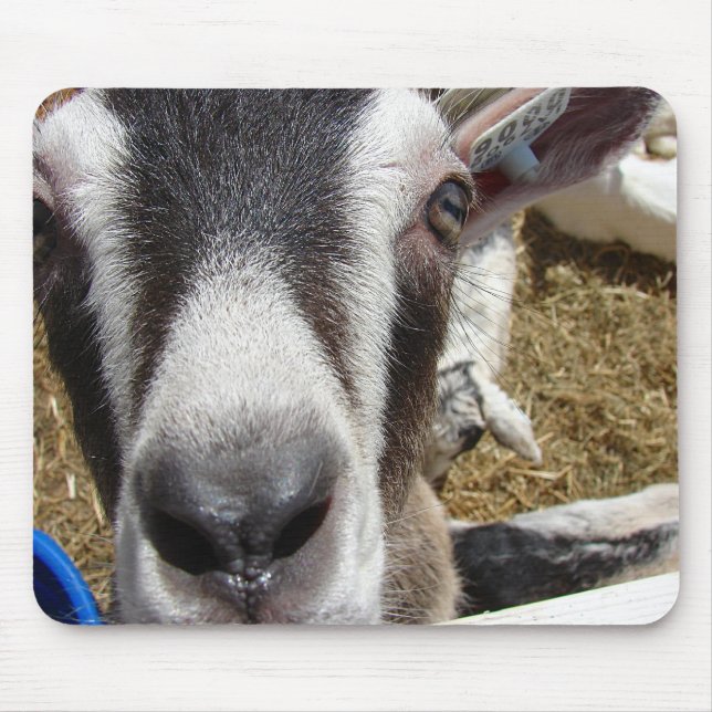 Is That Camera Food? Mouse Pad (Front)