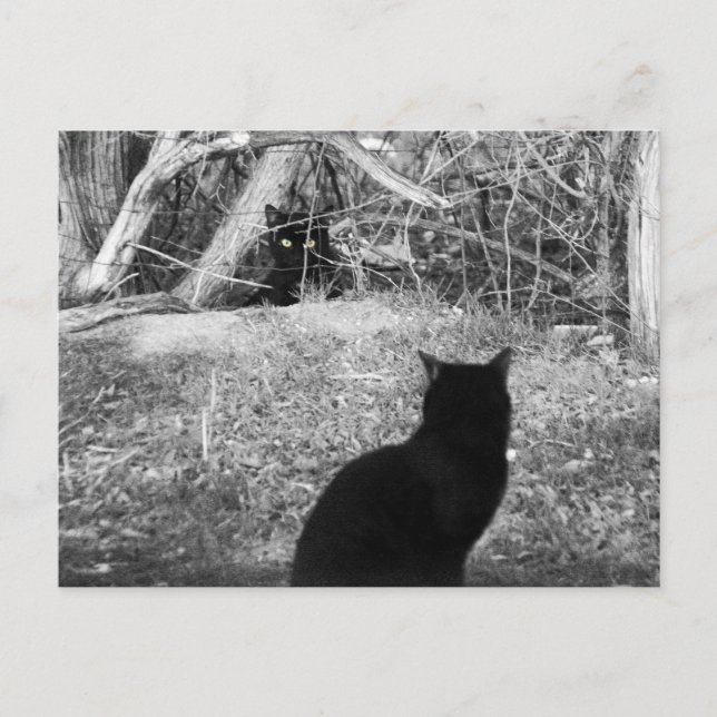 Is that me? postcard (Front)