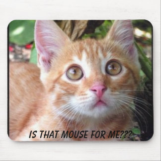 Is that mouse for me? pad