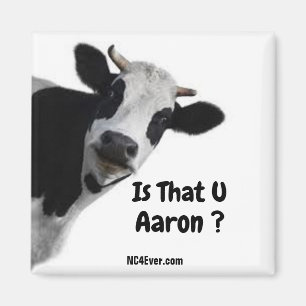 Is That U Aaron ? magnet