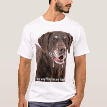 Is there anything on my face Chocolate Labrador