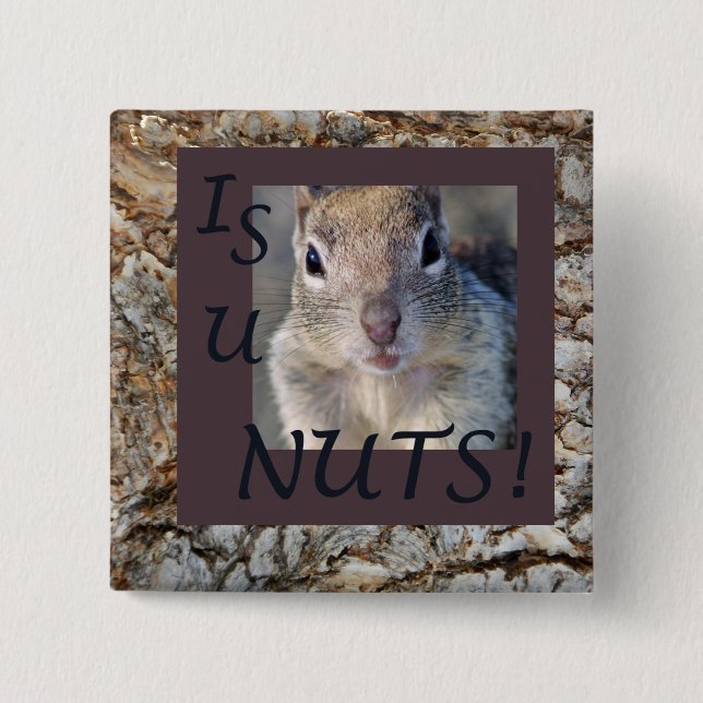 IS U NUTS! 2 INCH SQUARE BUTTON (Front)