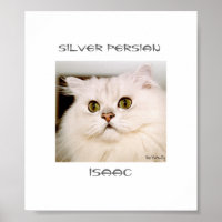 Isaac, An Extraordinary Silver Persian