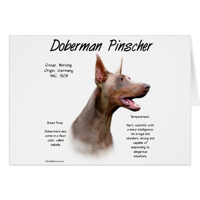 Isabella Doberman History  (Front Horizontal)