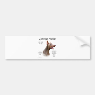 Isabella Doberman History Bumper Sticker