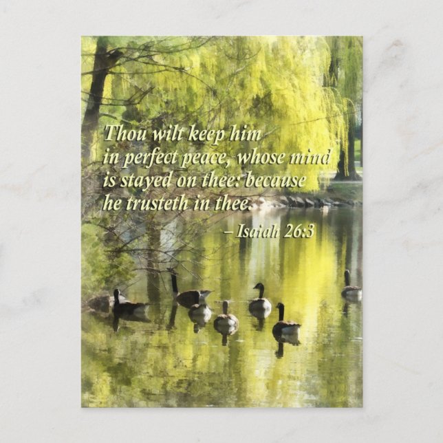 Isaiah 26-3 Thou wilt keep him in perfect peace Postcard (Front)