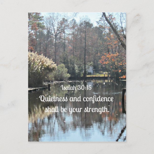 Isaiah 30:15 Quietness and confidence shall be Postcard (Front)
