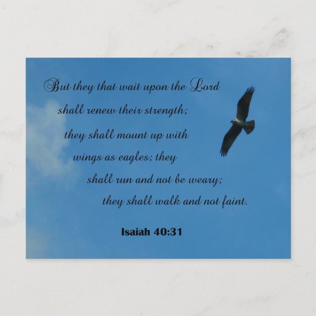 Isaiah 40:31 But they that wait upon the Lord... Postcard (Front)