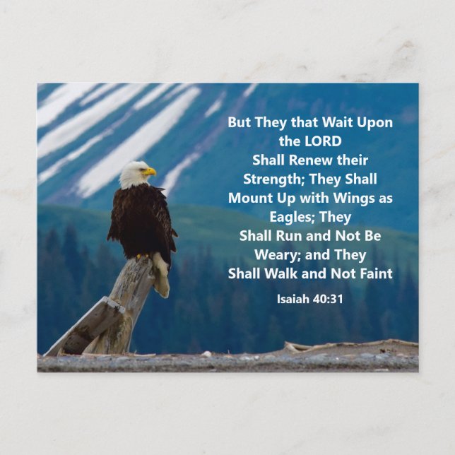 Isaiah 40:31  Mount Up on Eagle Wings Postcard (Front)