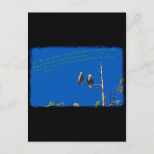 Isaiah 40:31 on black postcard